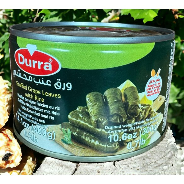 Dolma stuffed grape leaves with rice